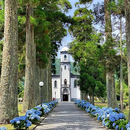 The Cedar Tree House Casa de Férias