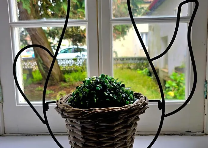 بيت للعطل The Cedar Tree House *