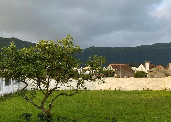 بيت للعطل The Cedar Tree House *